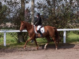 IMG_7903_web